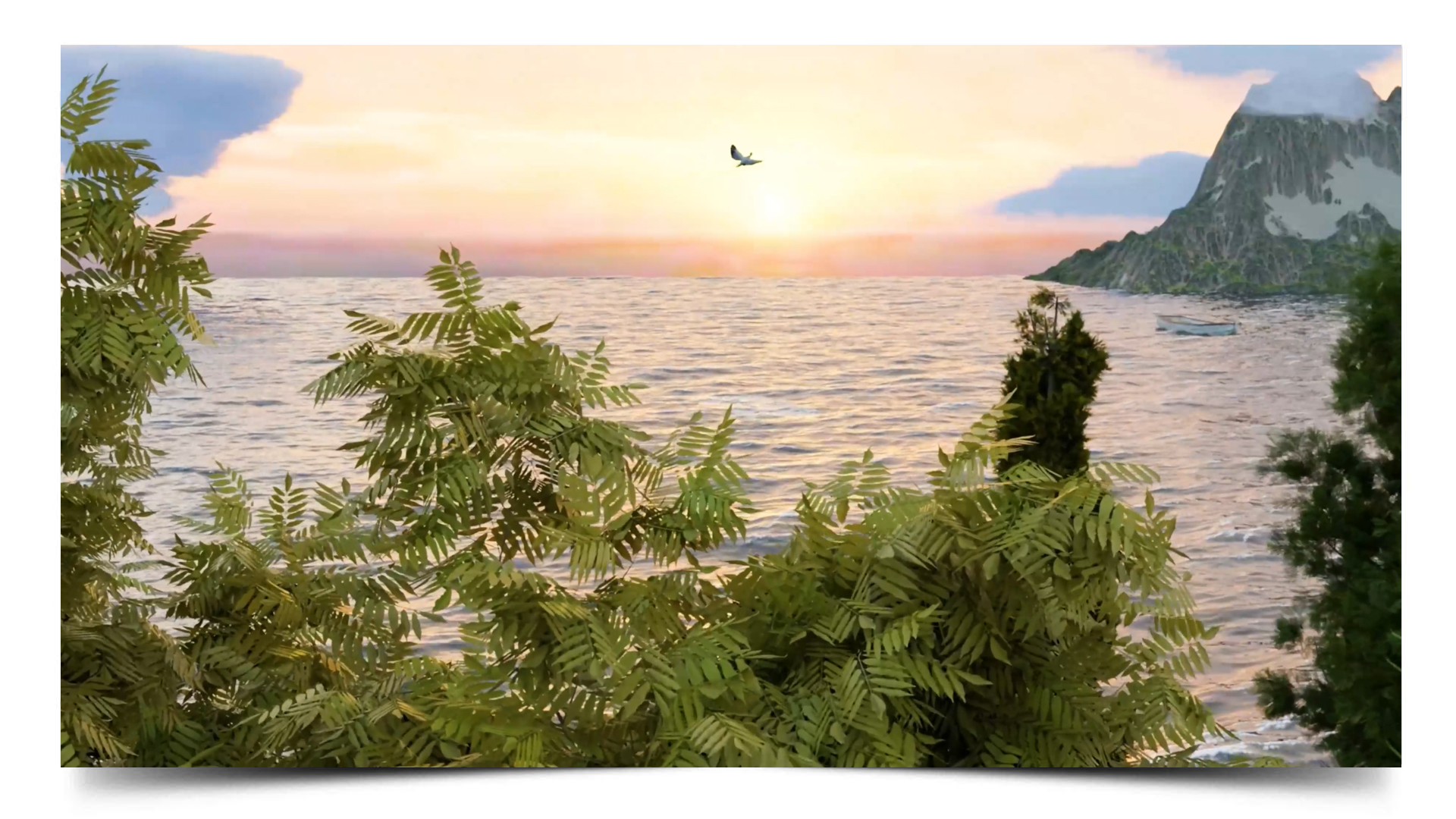 Training VIdéo compositing 3d